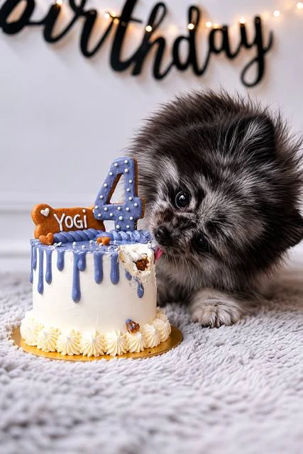 2025 Catalog (Cakes)